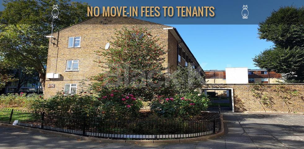 			New Instruction, 3 Bedroom, 1 bath, 1 reception Ground Floor Flat			 East India Dock Road, LIMEHOUSE 